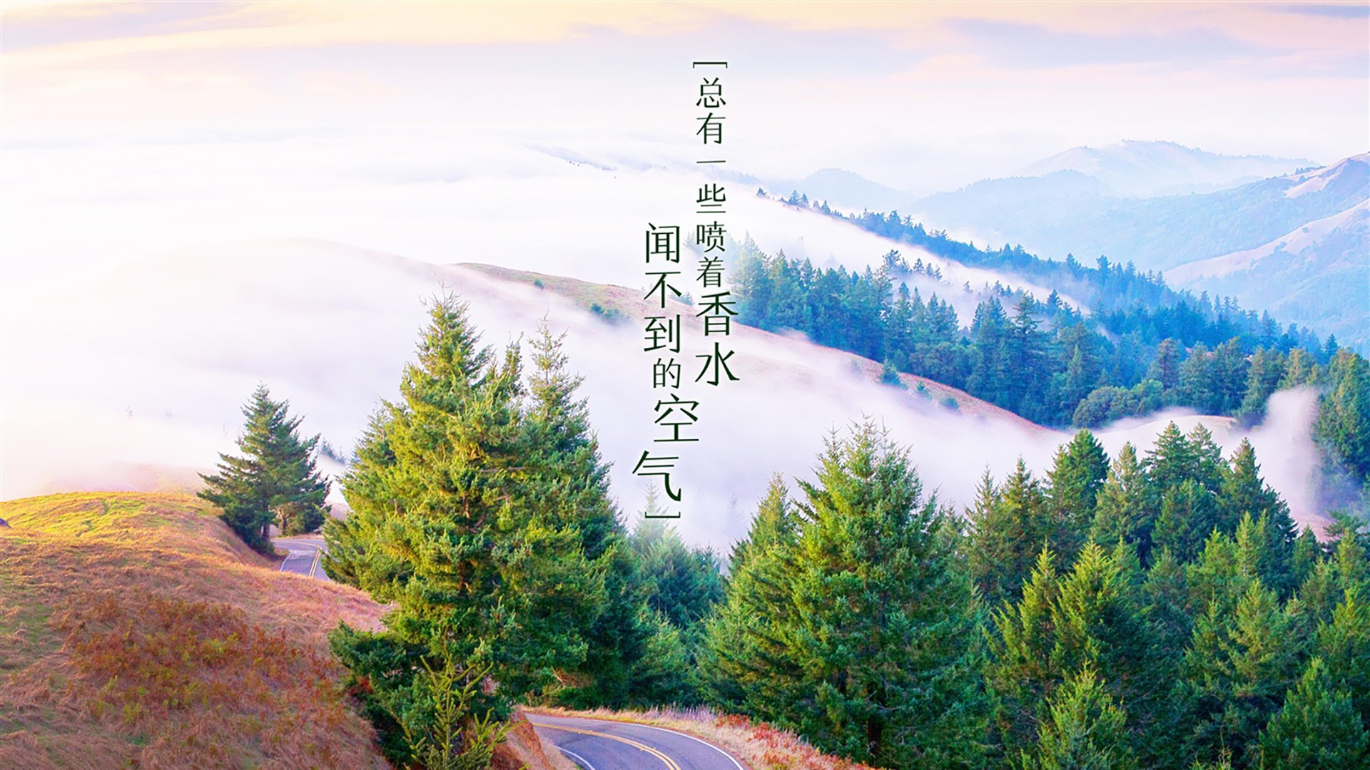 kaiyun登录入口-““火拼到底”！攻势频繁，战术变化层出不穷”，제니 지수