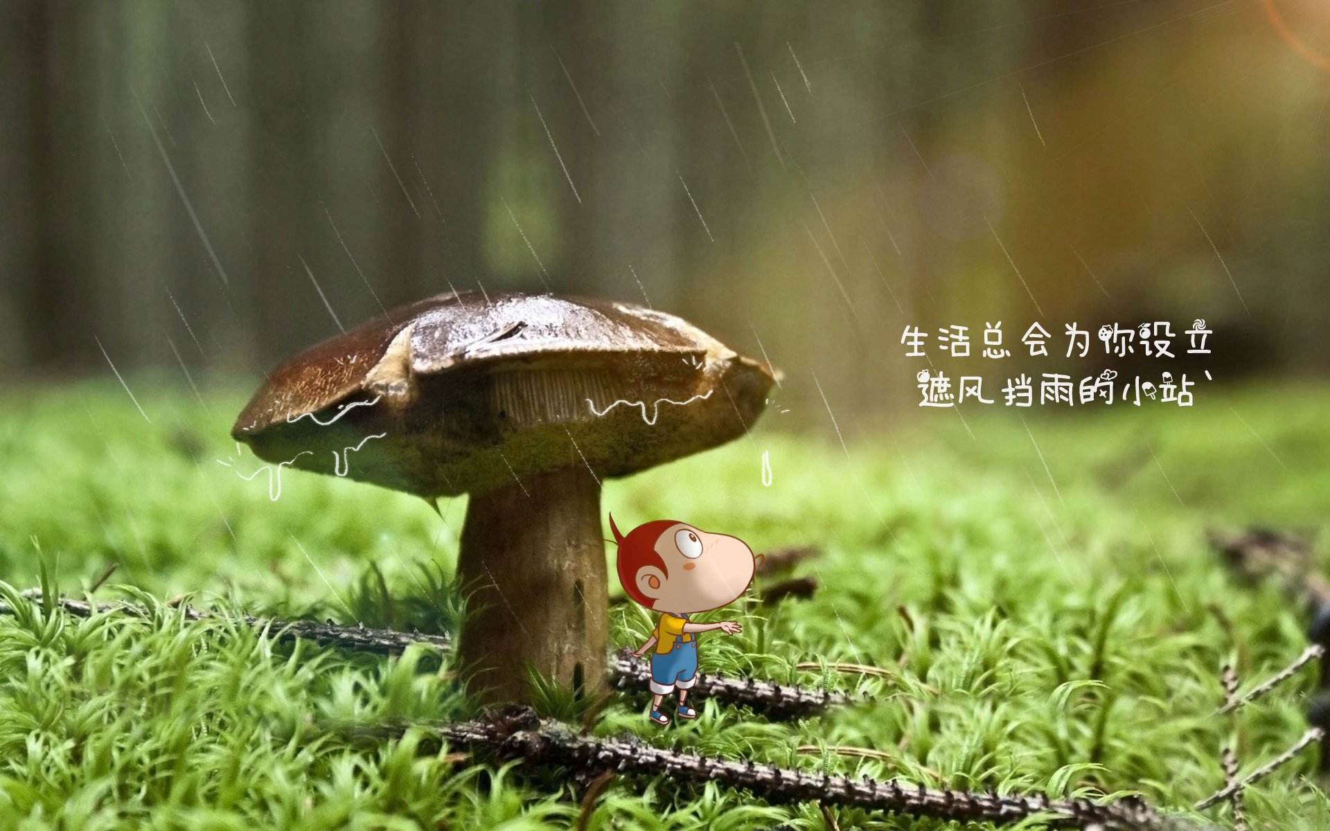 里昂连续第三场比赛获胜，向法国足球冠军靠近，里昂法甲几连冠