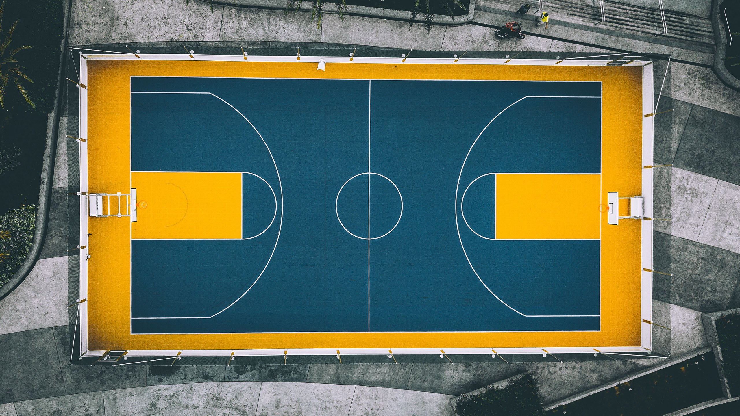 NBA赛季盖帽王数据解析，nba赛季盖帽王数据解析