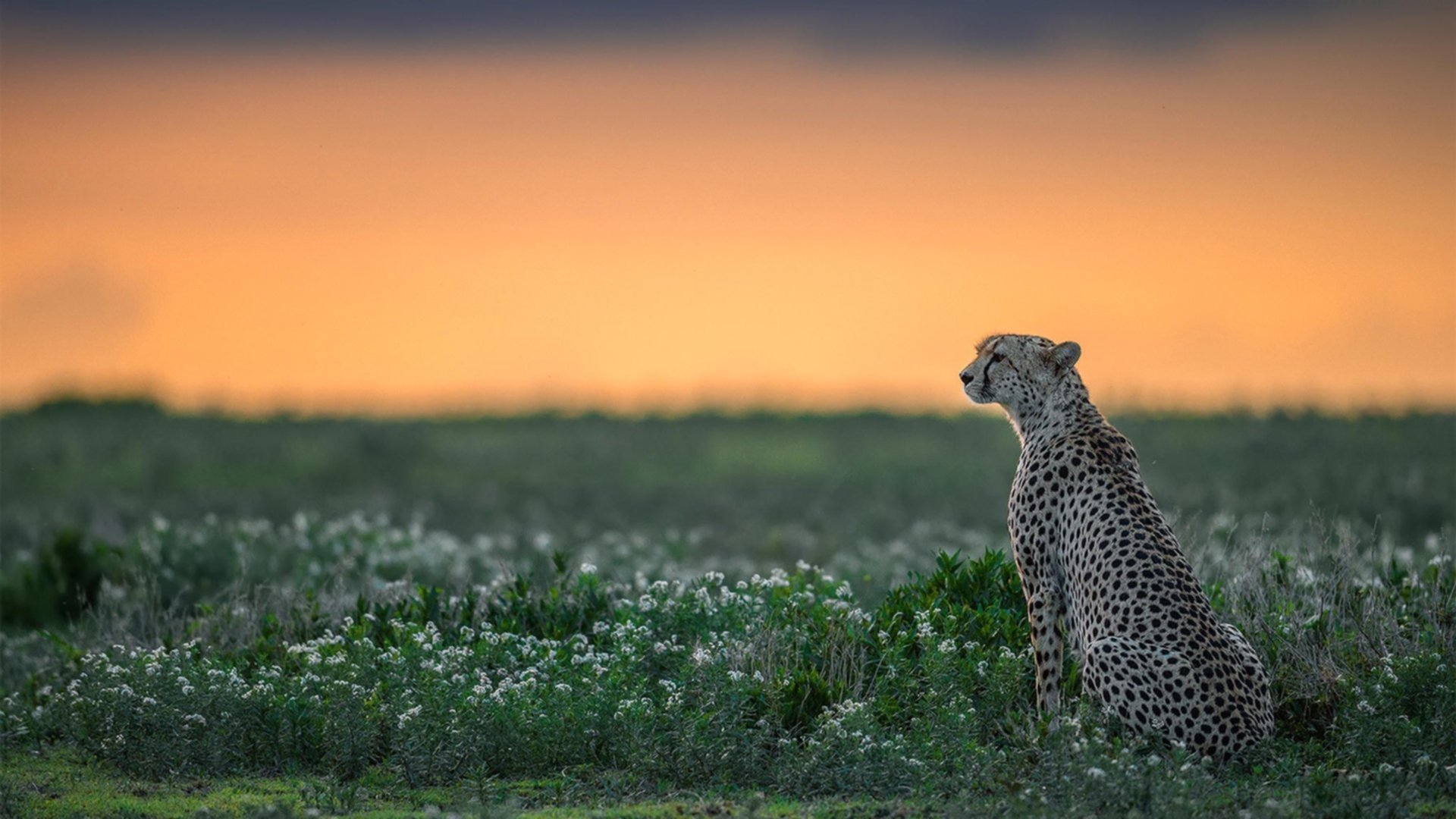 LOL赛后选手落泪引发网友共情圈粉无数，lol职业比赛选手后面的人是什么
