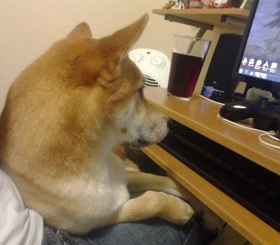 基层足球教练培训体系不健全，基层足球教练培训体系不健全怎么办