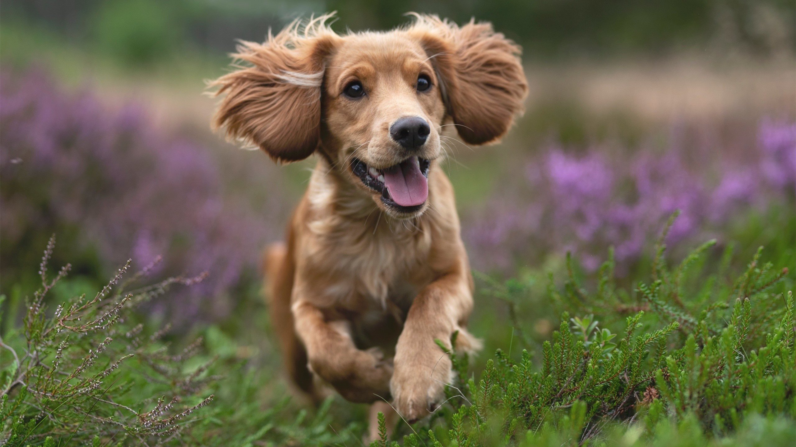 爱游戏平台-控球战术是否因高频率传球影响射门效率，控球率高就会赢吗