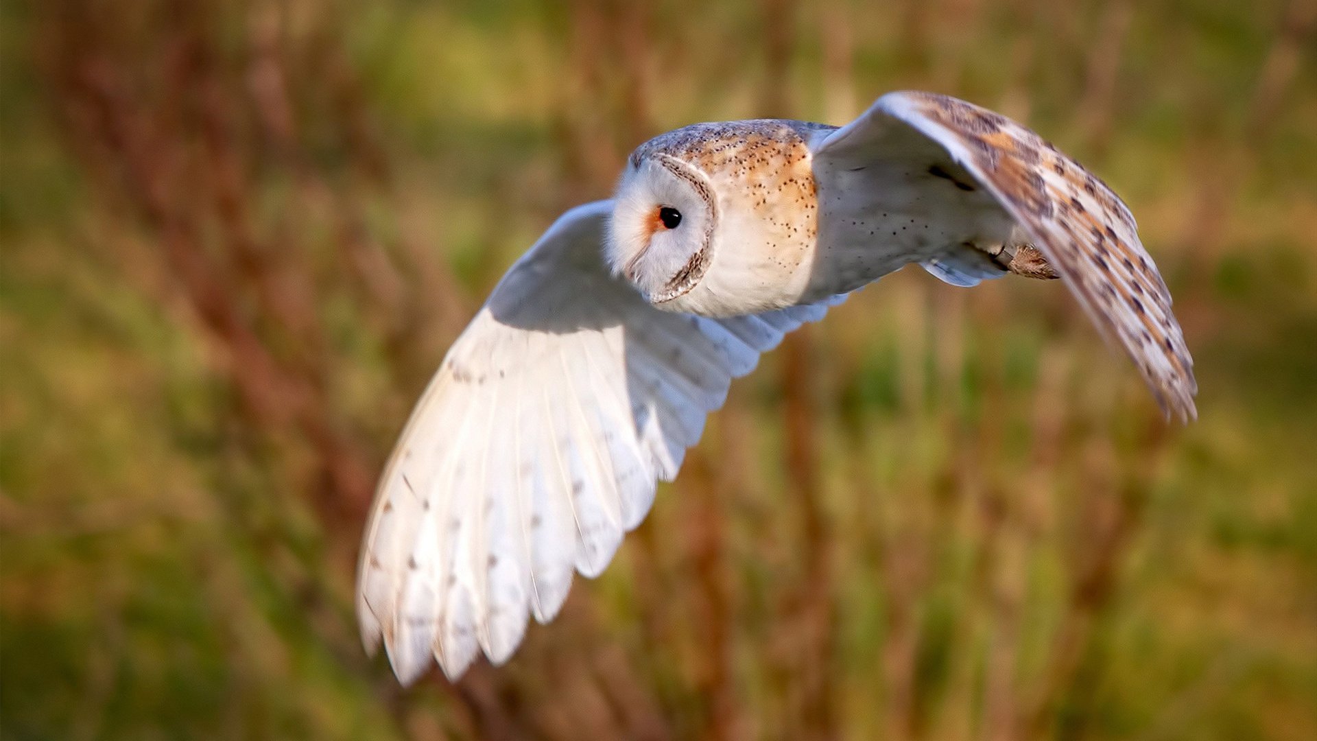 爱游戏电竞官网-数字化技术将如何改变乒乓球运动未来