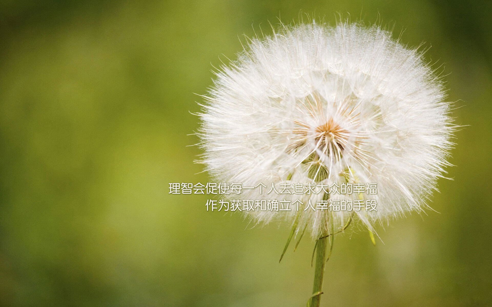 爱游戏体育（AYX）官方APP下载-体育资讯平台用户活跃度持续上升，体育资讯平台用户活跃度持续上升的原因