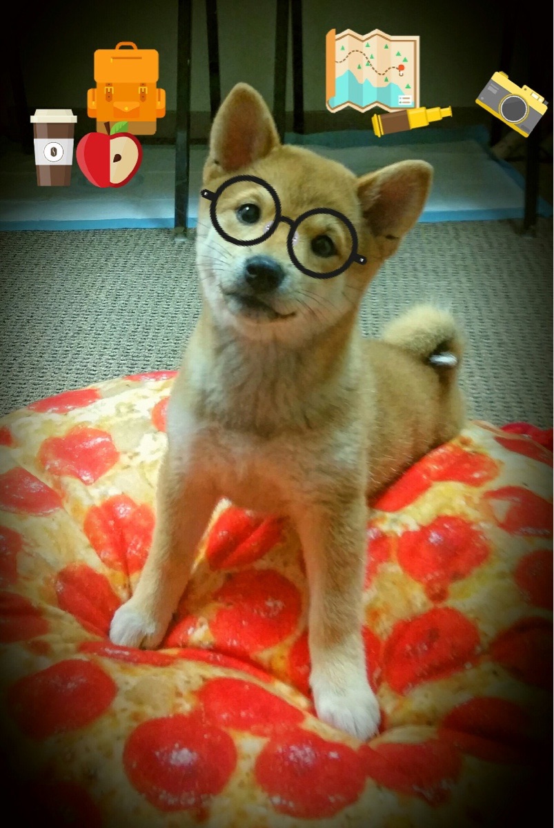 卢森堡男篮史上首次亮相国际大赛，备战中展现实力