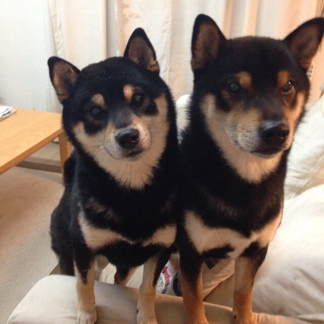 恩多比·恩乔:为南非羚羊队争取胜利,他的表现震撼球迷,球员恩多