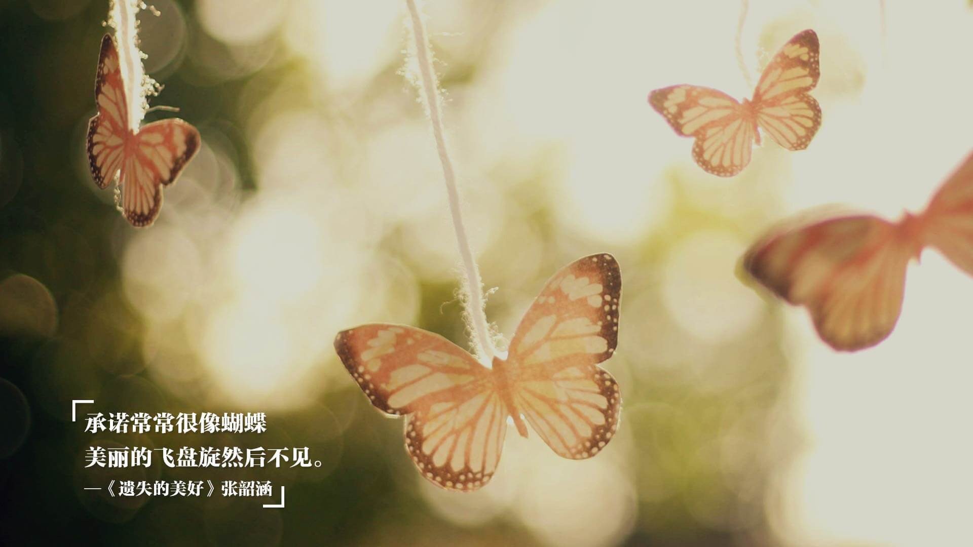 职业篮球俱乐部开设官方训练营推广篮球教学标准化，篮球俱乐部培训业务方案